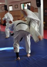Jiu-Jitsu Misinformation